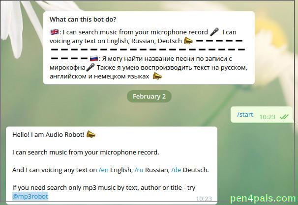 Bildschirm. Der Audirobot zum Durchsuchen russischer Musik und Konvertieren russischer Texte in Sprache. 