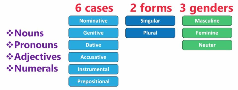 Chart. 6 cases. 2 forms. 3 genders.