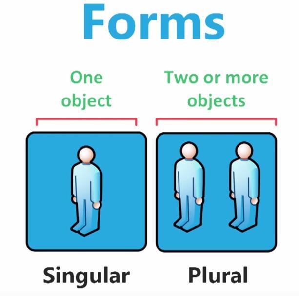 Chart. Forms.