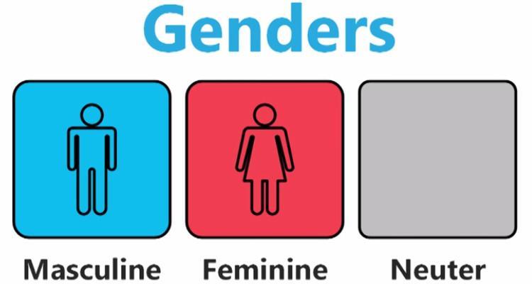 Chart. Genders.