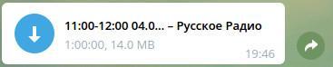 Screen. Radiobot. Downloading Russian Radio show.