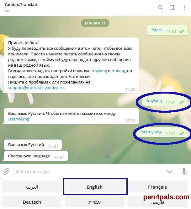 Телеграм боты яндекса. Переводчик в телеграмме. Бот переводчик. Переводчик в телеграмме внутри чата.